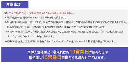 ビニールスリッパ  抗菌仕様 耐久性優れた すりっぱ　30足以上名入れ無料 男女兼用 水拭き 拭ける 業務用 施設 前開き 滑り止め付き メンズ レディース　M-1582 L-1582